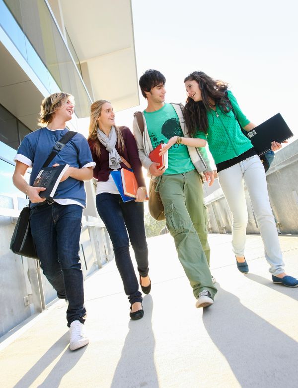 Breeze Academy Contact