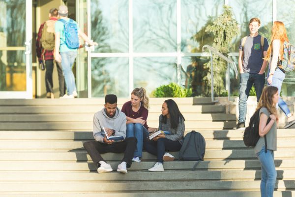 TET And TRB Coaching